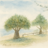 Painting of two pandanus trees beside a beach with soft sky and shoreline, titled Beach Pandanus