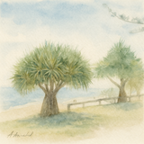 Painting of two pandanus trees beside a beach with soft sky and shoreline, titled Beach Pandanus