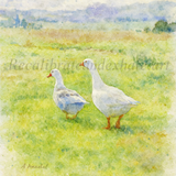 Calm rural artwork featuring geese in a soft natural landscape with gentle tones and open space, designed to create a peaceful and visually relaxing environment.